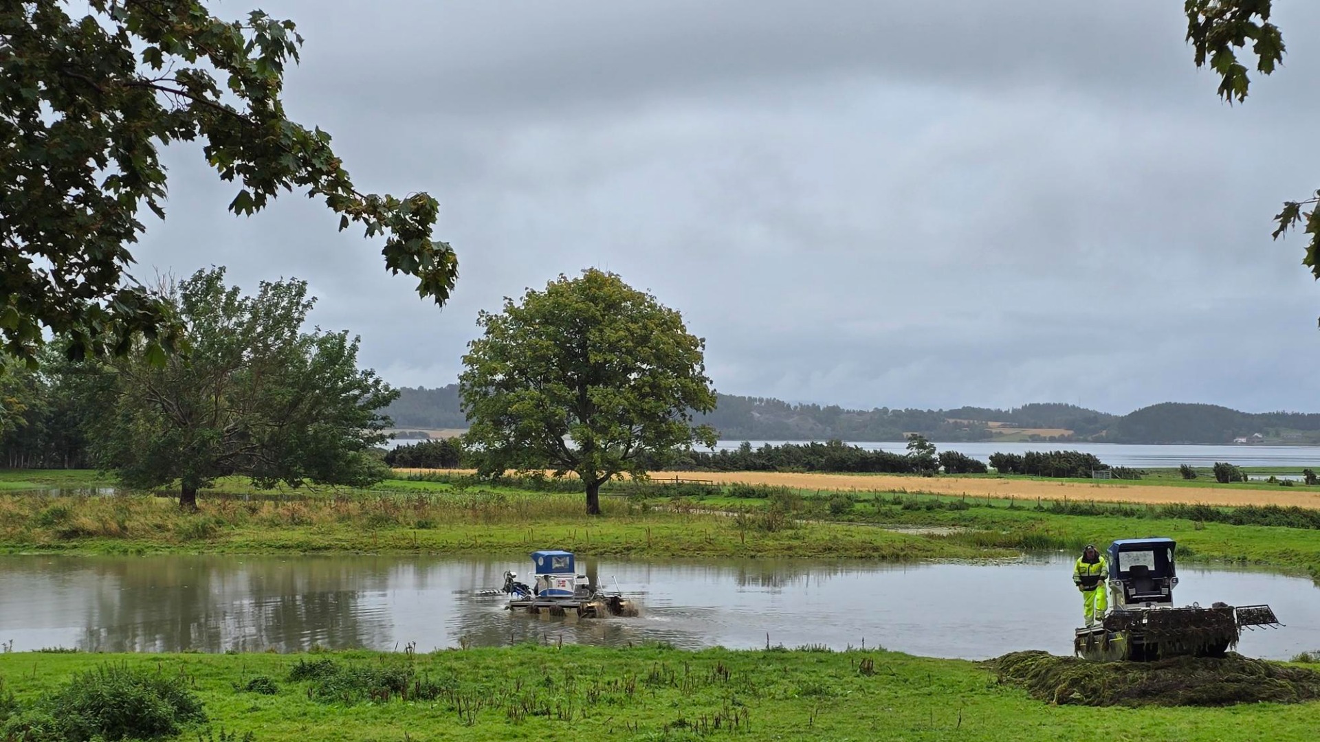 Sivklipping, rydding av vannløp og skjøtsel av våtmark
